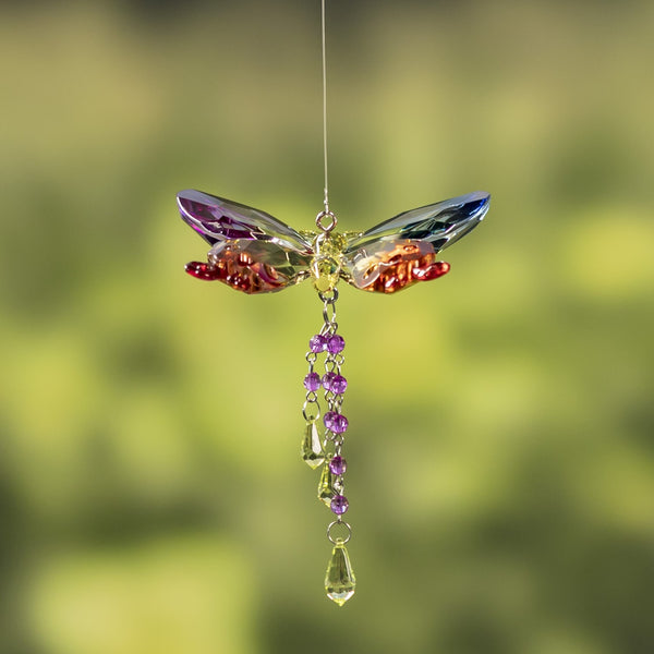 Hanging Acrylic Bird Chain & Ornaments | Over 20 Designs!