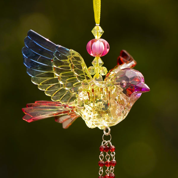 Hanging Acrylic Bird Chain & Ornaments | Over 20 Designs!