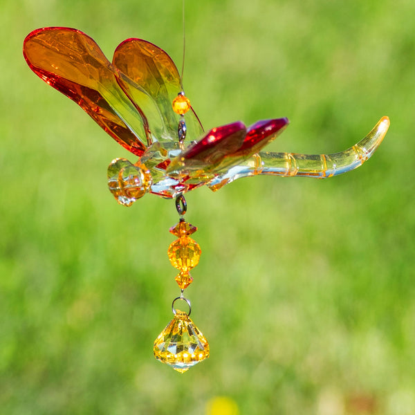 Hanging Acrylic Bird Chain & Ornaments | Over 20 Designs!