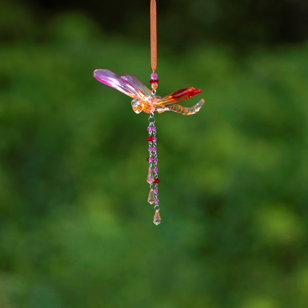 Hanging Acrylic Bird Chain & Ornaments | Over 20 Designs!