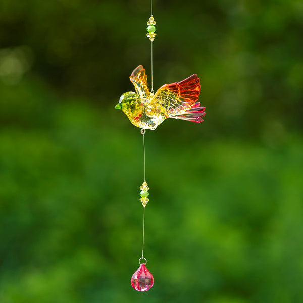 Hanging Acrylic Bird Chain & Ornaments | Over 20 Designs!