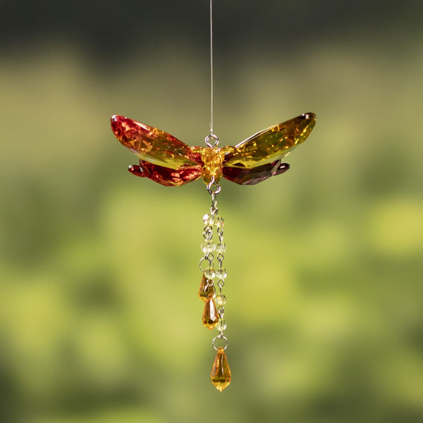 Hanging Acrylic Bird Chain & Ornaments | Over 20 Designs!