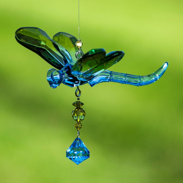 Hanging Acrylic Bird Chain & Ornaments | Over 20 Designs!
