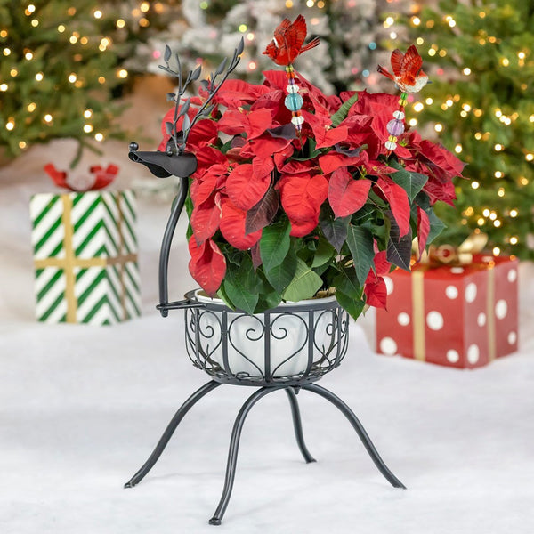 Tall Five Tone Acrylic Pot Stakes in 6 Assorted Colors